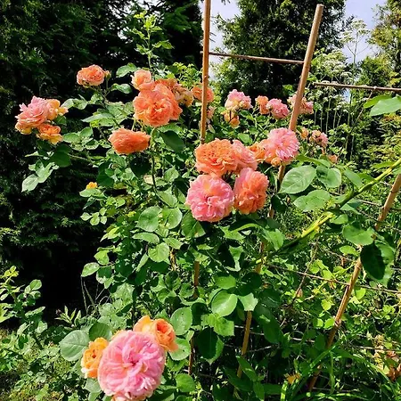 Nyaraló W Chocholowie *