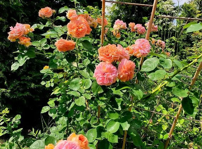 Prázdninový dům W Chocholowie *